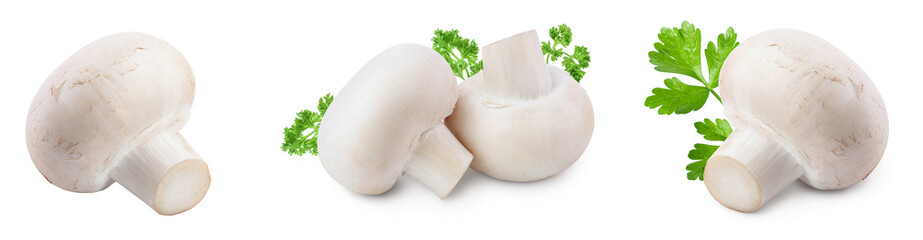 Fresh mushrooms champignon isolated on white background with clipping path and full depth of field. Set or collection