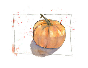 watercolor illustration of a pumpkin with color splashes