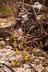 Large pile of garbage mixed with wooden cuts on the river bank