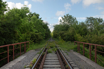 Old railroad tracks overgrown with grass in the forest in early summer