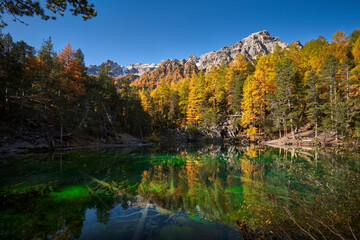 Fototapeta na wymiar Green Lake (Lac Vert) in the Narrow Valley (Vallee Etroite) in Autumn. The intense green color is due to the presence of algaes. European Alps