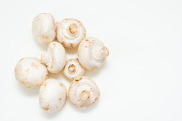 Group of fresh champignon mushroom on white background. Top view. Free space for text.