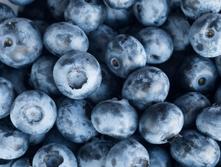 Fresh Blueberry Background. Texture blueberry berries close up. Sprinkle blueberries. Top view. Fresh blueberries scattered. Bunch of blueberries.