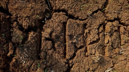 Close up, the texture of the cracked earth as if it were writing