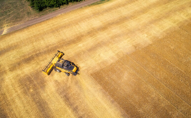 Aerial view of combine harvester harvesting wheat. Beautiful wheat field.
