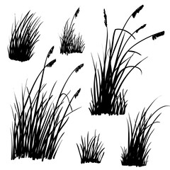 Set of hand-drawn beach grass. Vector silhouettes isolated on white.