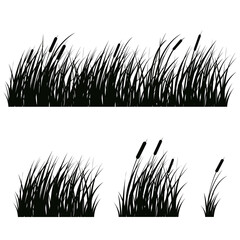 Set of hand-drawn beach grass. Vector silhouettes isolated on white. - 361573116
