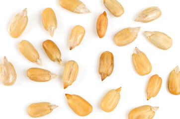 Peeled sunflower seeds on a white background. Isolate A handful of seeds close-up. Macro. Pattern