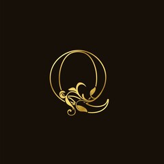 Q Letter Golden Outline Initial Nature Tropical Leaf logo Icon vector design