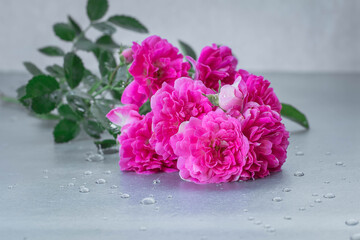 pink roses on the table