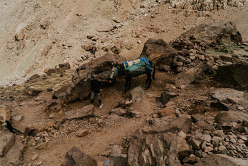 Beautiful landscape and hardscape at Morocco