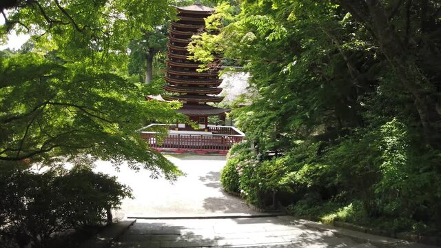 奈良県 談山神社 新緑と初夏の景色
