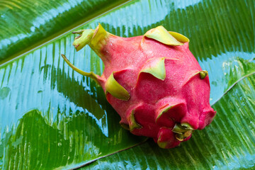 Ripe dragon fruit on a wet green leaf. Vitamins, fruits, healthy foods