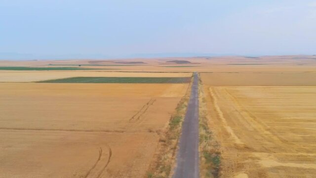 Aerial view in corn fields of La Rioja, SPain. Drone Video