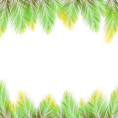 Border of palms branches on isolated on white background. Realistic tree palms. Vector