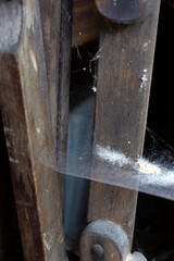 Old wooden Furniture drilled in by Wood-worms