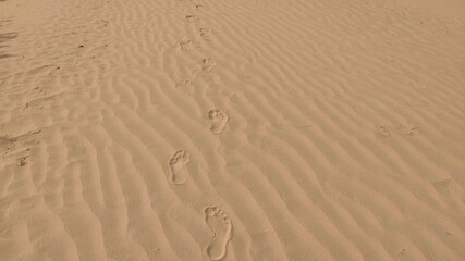 Human footprint on designed dust waves in desert field