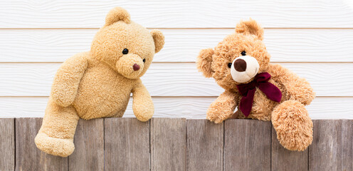 Two brown cute naughty teddy bear climbing on the old wooden fence with yellow wood background. Copyspace for text.