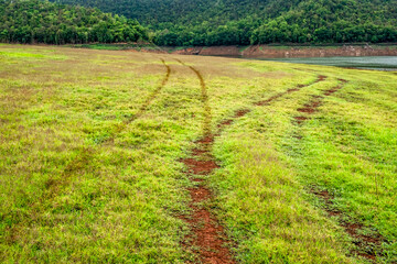 Tire tracks on the grass field near the lake at a national park.
