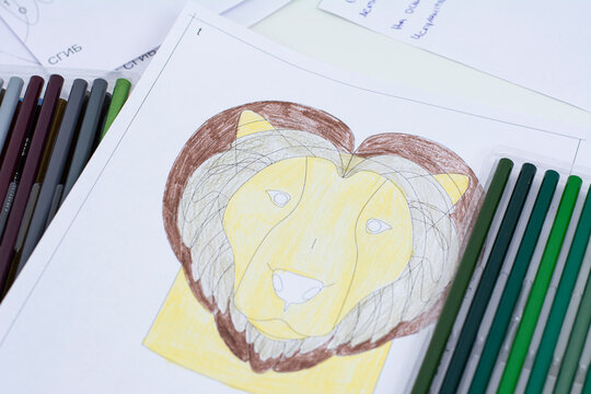 Women's hands paint a lion on a white sheet with a black outline with colored pencils.