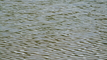 ripples in the water