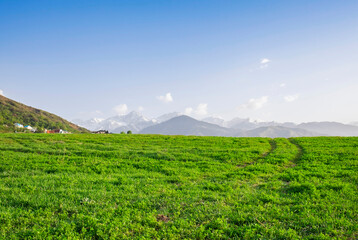 Fototapeta na wymiar Road through field. Summer landscape, green grass, mountains on the background.
