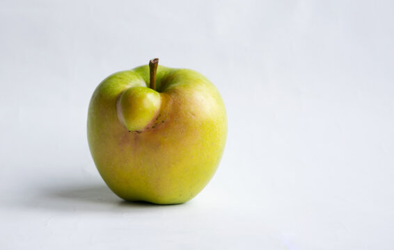 Ugly apple on a white background. Funny, unnormal fruit or food waste concept. Image with copy space, horizontal orientation.