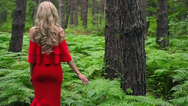 Back view of a Beautiful blonde girl in a chic red dress touching a fern in the fairy forest. Fantastic atmospheric footage. High quality FullHD footage