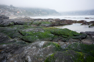 Rocky beach with moss on rocks. Coast with rocks in moss against  small village in a fog. Maicolpue, Pacific Coast, Chile