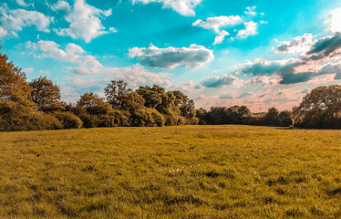 autumn landscape with yellow grass