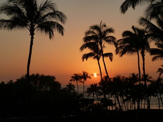 Fototapeta premium Sunset in Big Island Hawaii