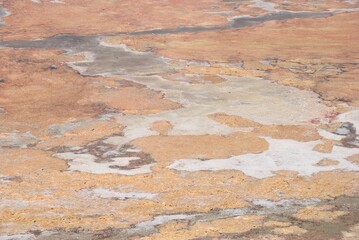 Close up view of a pink Larnaca Salt Lake in Cyprus