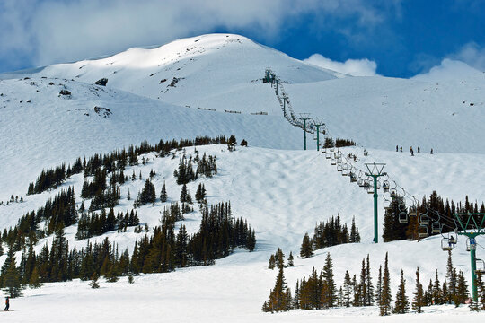 Jasper Marmot Ski Basin Jasper National Park Alberta Canada