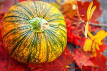 Natural autumn fall view pumpkin and maple leaves on wooden background. Inspirational october or september wallpaper. Change of seasons, ripe organic food concept. Halloween party Thanksgiving day.