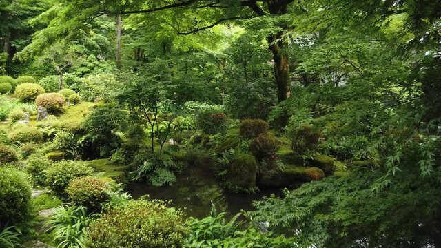 京都 大原 三千院 新緑と初夏の景色
