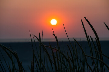 The setting sun in the dunes of St. Peter Ording