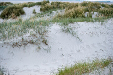 Dunes at dusk near St. Peter Ording