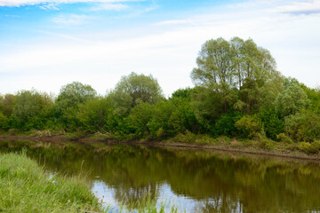 Fototapeta na wymiar Summer landscape with a river and green banks