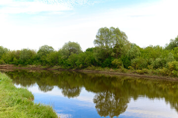 Summer landscape with a river and green banks