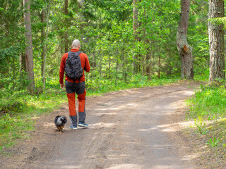 Back view of Man walking on dirt road in pine and spruce forest, hiking trip with dog. Solo outdoor activities. Enjoy time alone in nature.