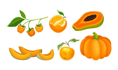 Vegetables and Fruits with Ripe Pumpkin and Papaya Vector Set