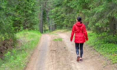 Fototapeta premium Back view of woman walking on dirt road in pine and spruce forest, hiking trip. Solo outdoor activities. Enjoy time alone in nature.