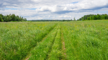 Fototapeta na wymiar Beautiful rural road in green field or meadow in summer against dramatic sky. Nature background.