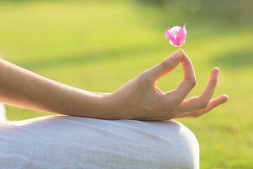 Female person's hand holding a pink flower while practicing yoga pose in a green garden. Meditation and wellness. Closeup.