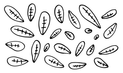 Collection of hand drawn leaves. Doodle illustration. Simple floral elements isolated on white background