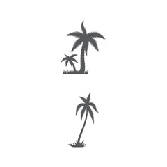 Obraz premium Palm tree summer logo template