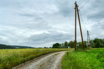 Fototapeta na wymiar Weg durch die Felder bei Wülfrath-Aprath im Sommer