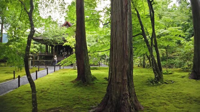 京都 大原 三千院 新緑と初夏の景色