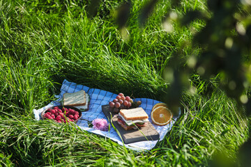 Romantic picnic in the village on the nature. Sandwiches, berries, cheese and fruits for breakfast. Sandwich with onions, cheese, cucumber, tomato and meat.