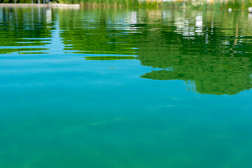 Natural Plant Filtered Swimming Pool